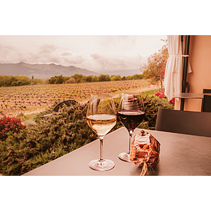 Round Trip San Diego - Sonoma/Wine Country or Vice Versa $147 Nonstop Airfares on Alaska or Southwest Airlines BE + Check-In Case of Wine For Free (Travel May-June 2026)