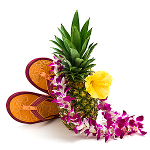 New York/New Jersey - Kona, Maui, Kauai Hawaii Airfares $222 One-Way or $444 Round Trip on United, Delta or American BE (Travel August-September 2026)