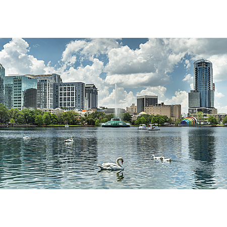 Fly DC to Orlando from $36!