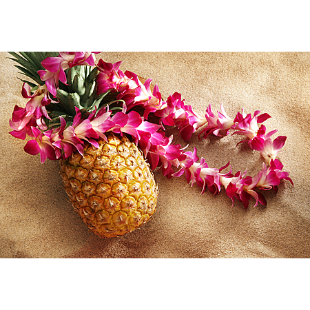 Round Trip Denver - Maui Hawaii or Vice Versa $330 Airfares on Delta or American Airlines BE (Spring Travel March - May 2026)