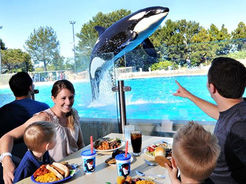 SeaWorld Orlando Black Friday Up To 60% Off Admission Plus 50% Off Upgrades Bonus Free Meal*