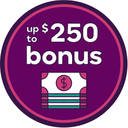 Ally Bank Deposit 1 000 In New Funds To Savings Money Market Or Cd Get