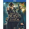 Fantastic Beasts 3-Film Collection (Blu-ray) $14.99 Free Shipping Amazon Prime