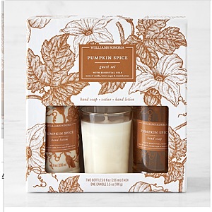 Williams Sonoma Pumpkin Spice Guest Set $10.97