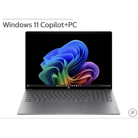 HP OmniBook 5 16" Touchscreen Laptop - AMD Ryzen AI 9 465 - Copilot+ PC - 2K OLED (1920 x 1200) - 32GB Memory - 1TB SSD  $1199.99 + $14.99 shipping Costco $1215
