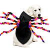KyFree 48 LED Spider Dog Halloween Costume for Dogs, Furry Giant Spider with Orange Purple Lights Dog Halloween Cosplay - Medium $9.99
