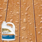 Select Home Depot Stores: 1-Gal WaterGuard Exterior Wood Stain and Sealer (various) $2.90 (valid In-Store Only)
