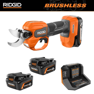Ridgid batteries top at home depot