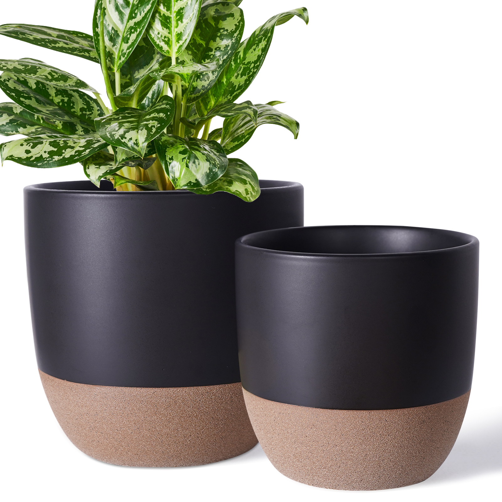 2 Pack Ceramic Planters Indoor with Drainage Hole & Plugs $19.99 AC at Amazon