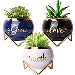 3 Pack Ceramic Planters for Houseplants $14.84