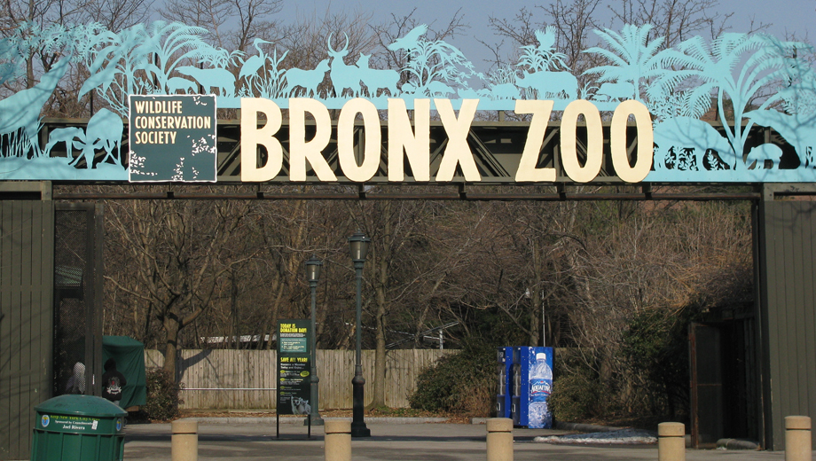 70 Off Wcs Family Premium Membership To Bronx Zoo Ny Aquarium And More 125 See Deal