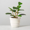 Hearth &amp;amp; Hand Magnolia 40% Off: Faux Hoya Plant $4.19, Serving Tray Set $14.99 &amp;amp; More + Free Shipping w/ Target 360, Circle Card, or on $35+