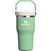 Stanley IceFlow 2.0 Flip Straw Water Bottle