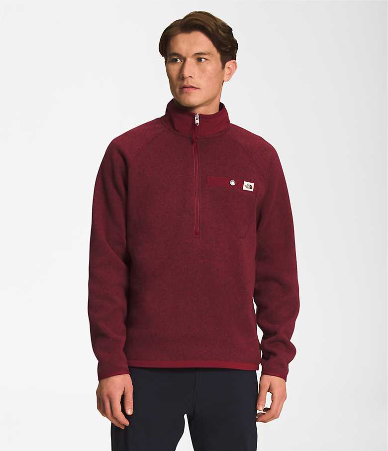 The north face men's shop gordon lyons fleece vest