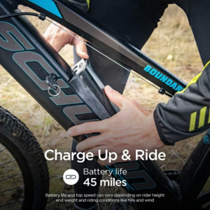 Schwinn boundary outlet 29 review