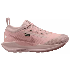 Nike Women's Pegasus Trail 5 GORE-TEX Running Shoes (Pink Oxford/Red Star/Rose) $58.48 + Free Shipping