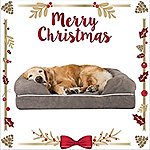 Friends Forever Large Memory Foam Dog Bed for $69.99
