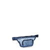 Reebok Women's Monet On The Waist Fanny Pack Bag (Shadow) $1.99 + Free S&amp;amp;H w/ Walmart+ or on $35+
