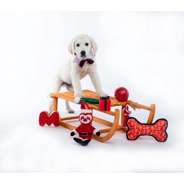 Wag and Wiggle 6 Piece Holiday Dog Toy Set $6.24 Walmart