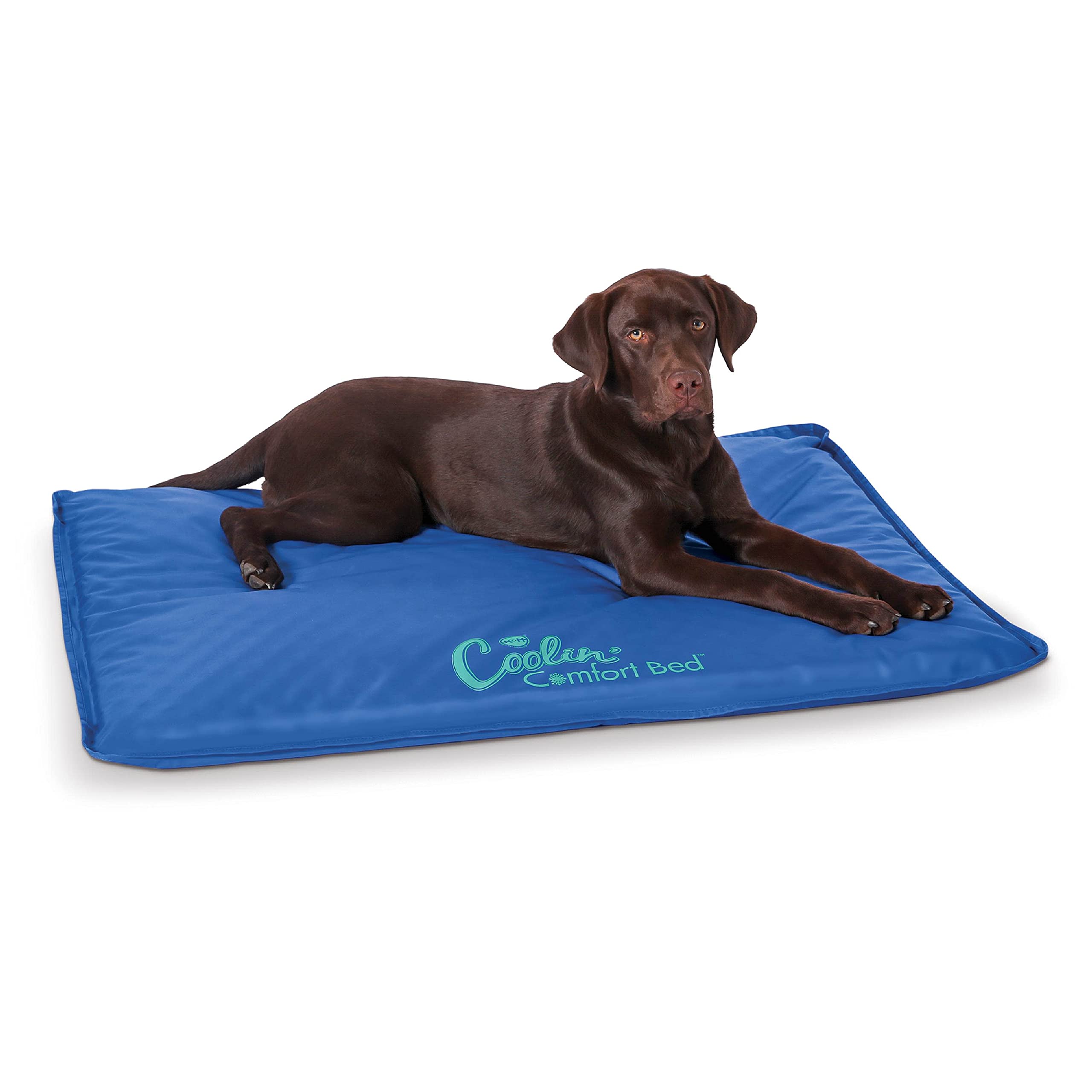 32" x 44" K&H Pet Products Coolin' Comfort Water Cooled Orthopedic Dog Bed (Blue, Large) $53.91 + Free Shipping