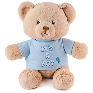 Prime: 12" GUND “It's a Boy” Sustainable Message Teddy Bear w/ T-Shirt (Made from 100% Recycled Materials) $5.16 + Free Shipping w/ Prime or on $35+