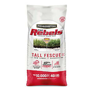 Pennington Rebels Tall Fescue Grass Seeds 40 lb walmart and amazon