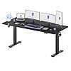 FLEXISPOT 79 x 32 Inch Large Stand Up Desk (Black Frame + Black Top, 2 Packages) - $289.99