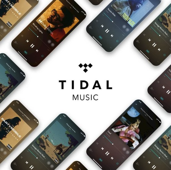 Tidal Subscription Plan 2Months Tidal HiFi Music Plan for Free