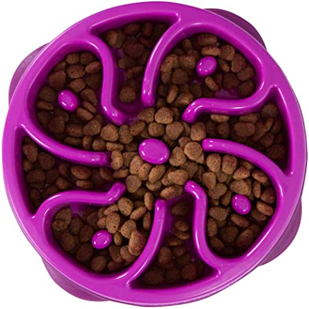 Outward Hound Medium/Mini Slow Feed Dog Bowl (Purple Flower) $6.54 + Free Shipping w/ Prime or $25+