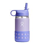 12-Ounce Hydro Flask Kids' Bottle (Wisteria, Dew) $17.83 + Free Shipping w/ Prime or on $35+