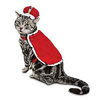 2020 Petco Cyber Monday Deals Sale Hours Slickdeals