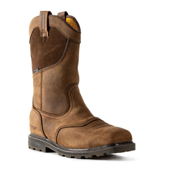 DeWalt Men’s steel toe boot size 10 EE 37.50 $37.5