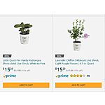 Amazon Best Deal- Save 15%+ On Proven Winners 4.5 In. Quart Shrubs (Select Varieties) $15.49