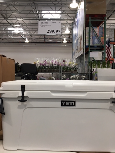 YETI YT125W $299.97 at Costco YMMV