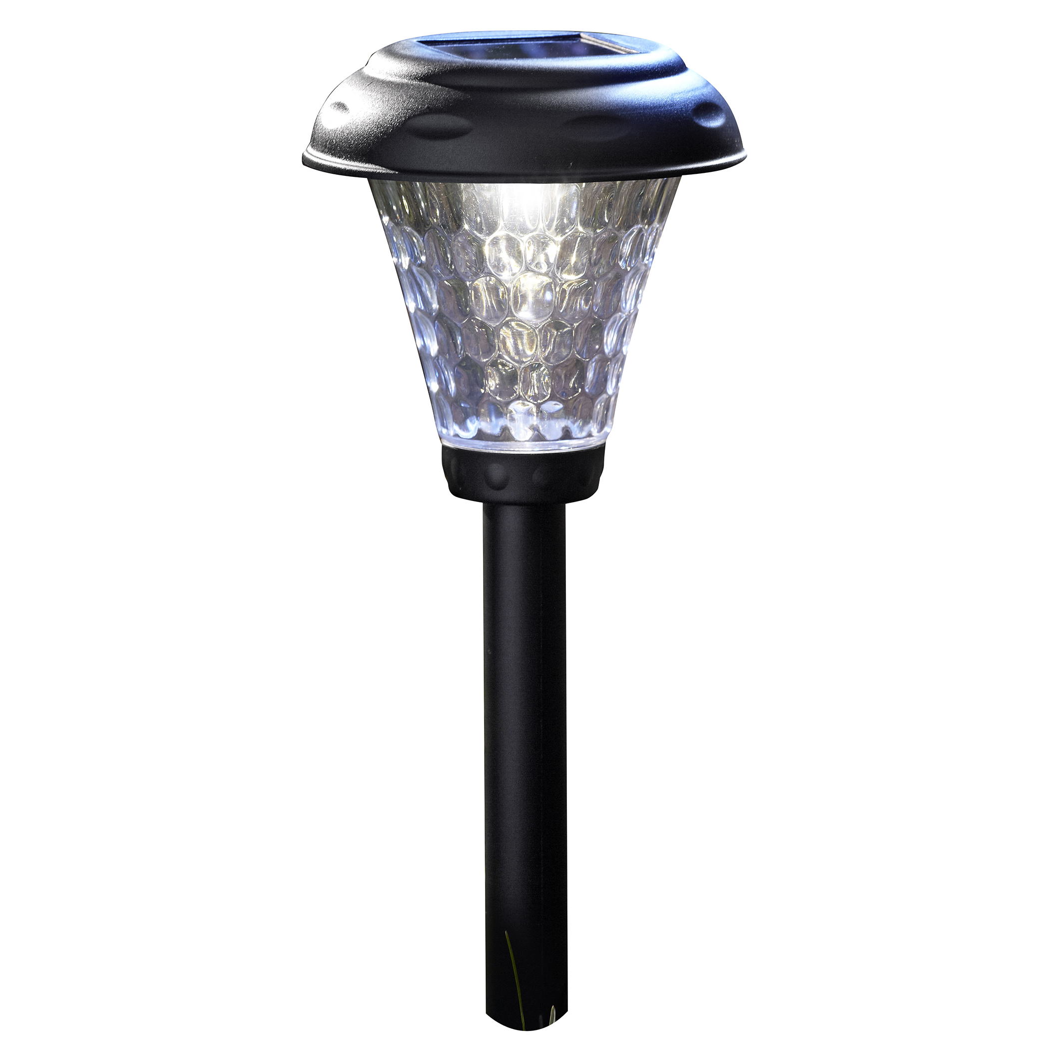 Solar Pathway light