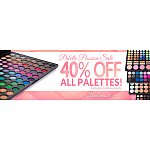 Coastal Scents 40% off on all palettes