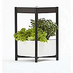 Amazon: 40% Off Miracle-Gro Twelve Indoor Growing System + Free Shipping $179.99