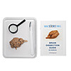 Sheep Brain Dissection Kit -$30.51