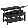 Gracie Oaks Torron 4-in-1 Multi-Fuction Lift Top Coffee Table w/ Storage (Black) $123 + Free Shipping