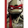 Teenage Mutant Ninja Turtles: The IDW Collection Volume 1 - Paperback Graphic Novel/Comic + Free Shipping w/Prime $17.66
