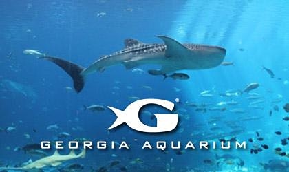 Georgia Aquarium tickets for $31.95. GA residents get a free ticket on birthday (Atlanta, GA)