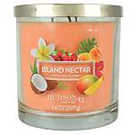 Joann: 14oz Hudson 43 Candle &amp; Light Premium 3-Wick Jar Candle (Various Scents) for $5 + Free Curbside Pickup