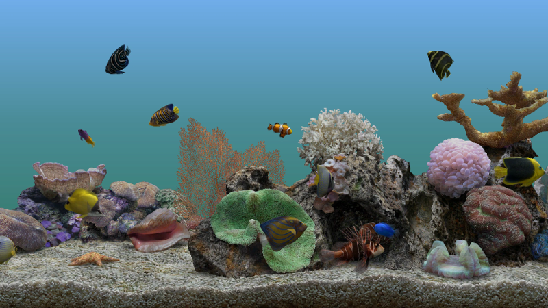 Free Aquatic Life 4K Roku Screensaver (Virtual Aquarium)