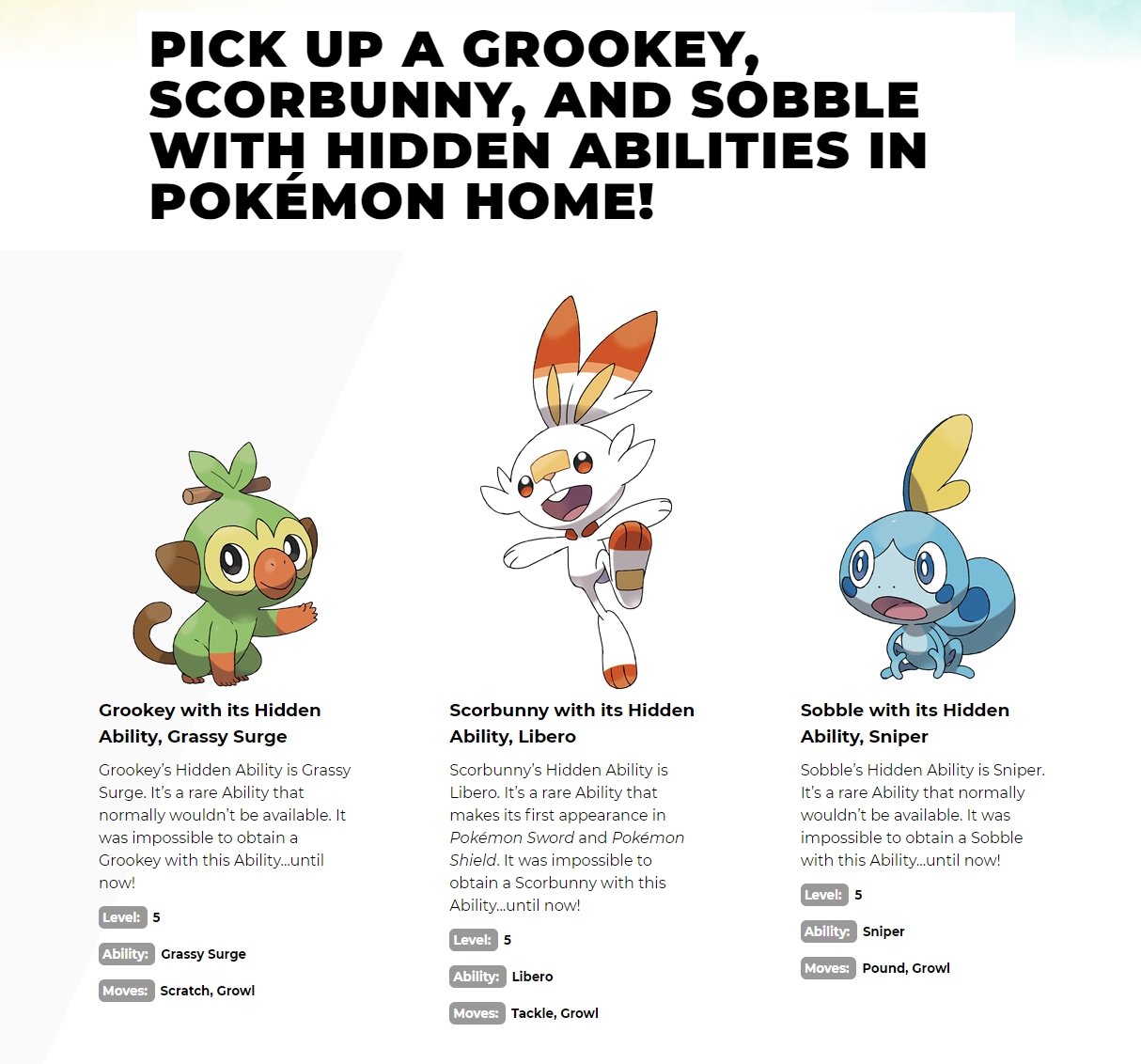 Free Sobble Grookey Scorbunny W Hidden Abilities For Pokemon