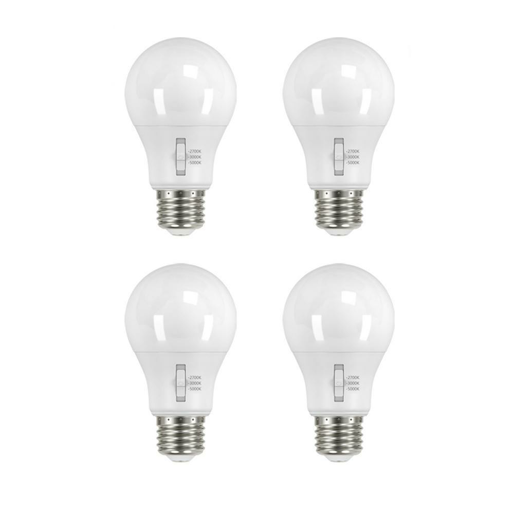 ecosmart light bulbs google home