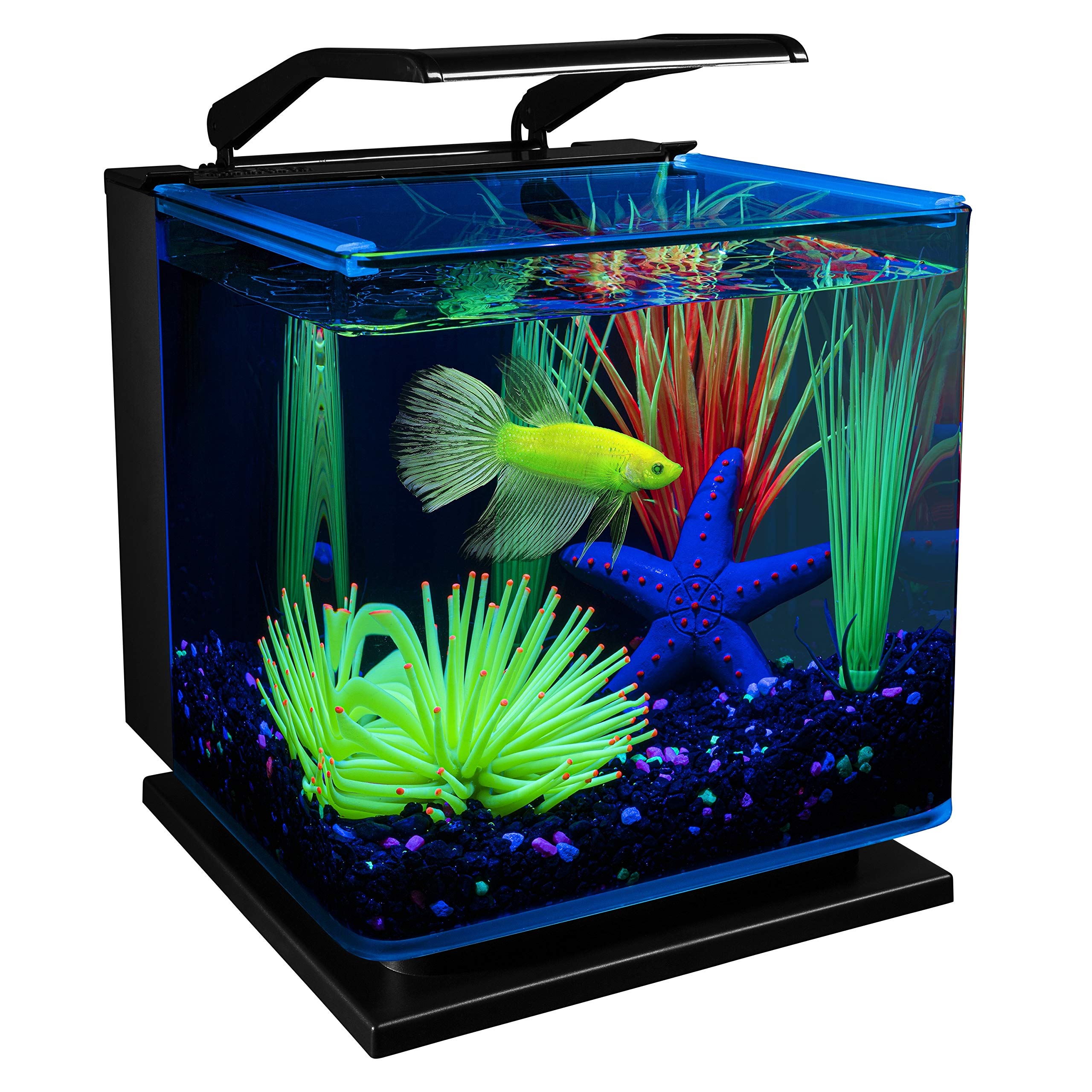 GloFish Betta Shadowbox 3 Gallon Aquarium Kit $35.99