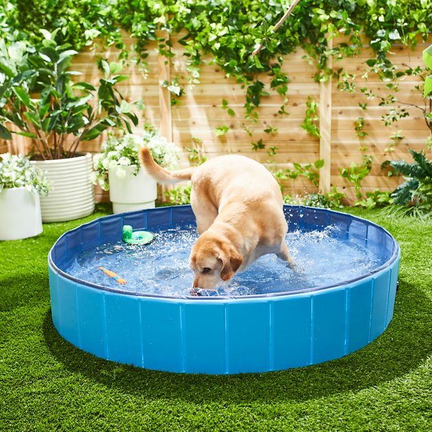 Frisco Outdoor Dog Swimming Pool (Blue): Medium $10.55, Large $17.70, X-large $21.80 & More + F/S $49+