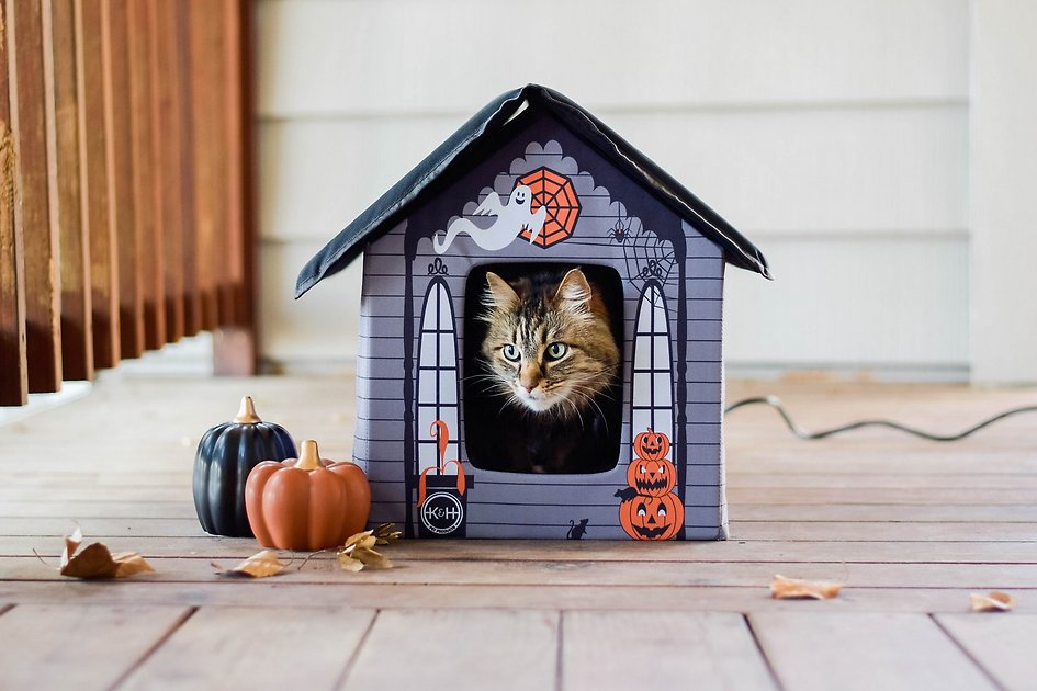 k&h cat house