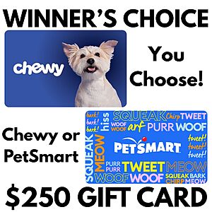 Slickdeals Daily Draw Giveaway - April 11, 2026