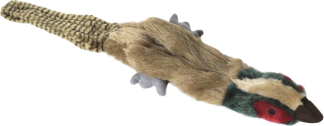 18" Multipet Migrators Pheasant Dog Toy w/ Squeakers & No Stuffing $4 + Free Shipping w/ Prime or $25+